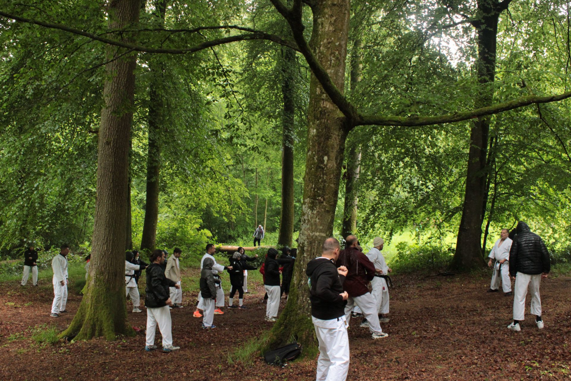 foret foret