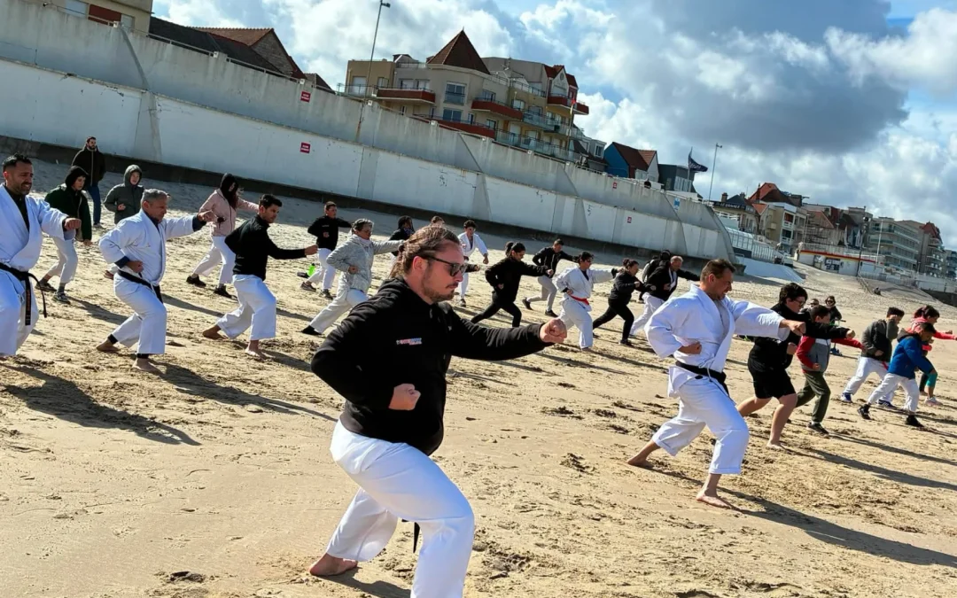 Retour sur notre stage dans le Pas de Calais